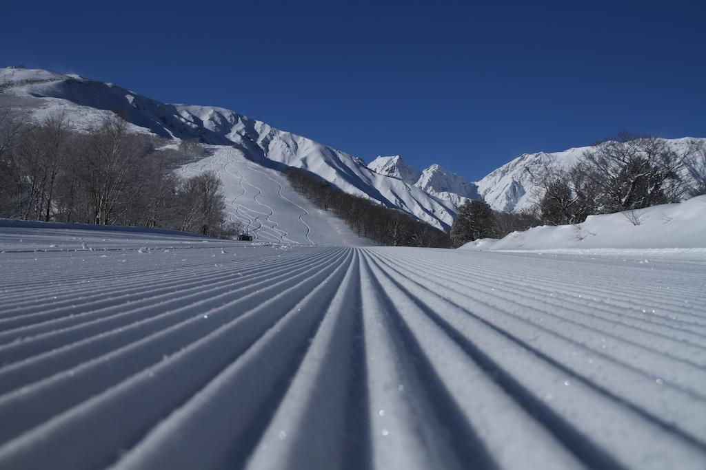 Hotel Oak Forest Hakuba Exteriör bild